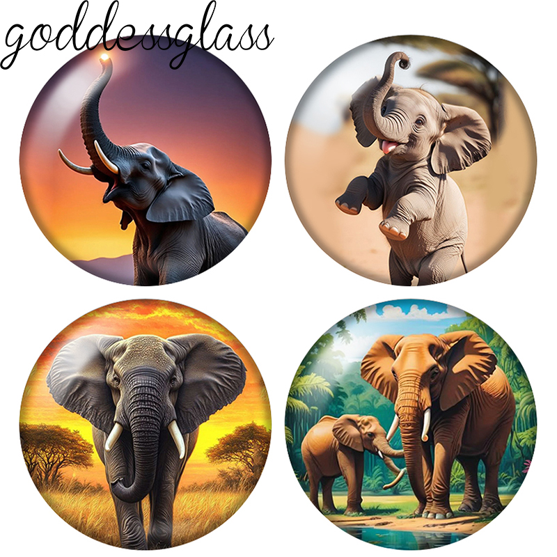Body Jewelry Top - Elefant, niedliches Wildtier, 10 Stück, 12