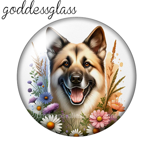 ‌ Niedliche Hunde unter den Bl – Body Jewelry Top Bewertung und Preis