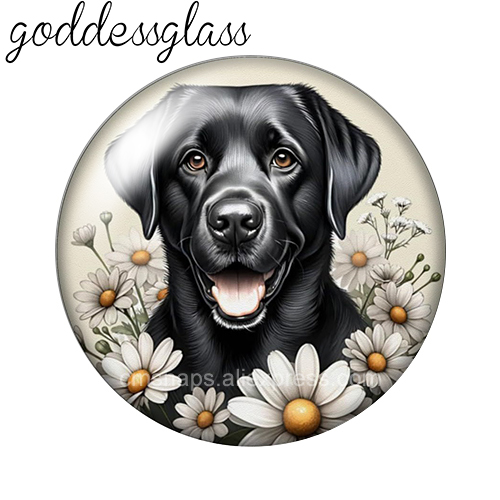 ‌ Niedliche Hunde unter den Bl – Body Jewelry Top Bewertung und Preis