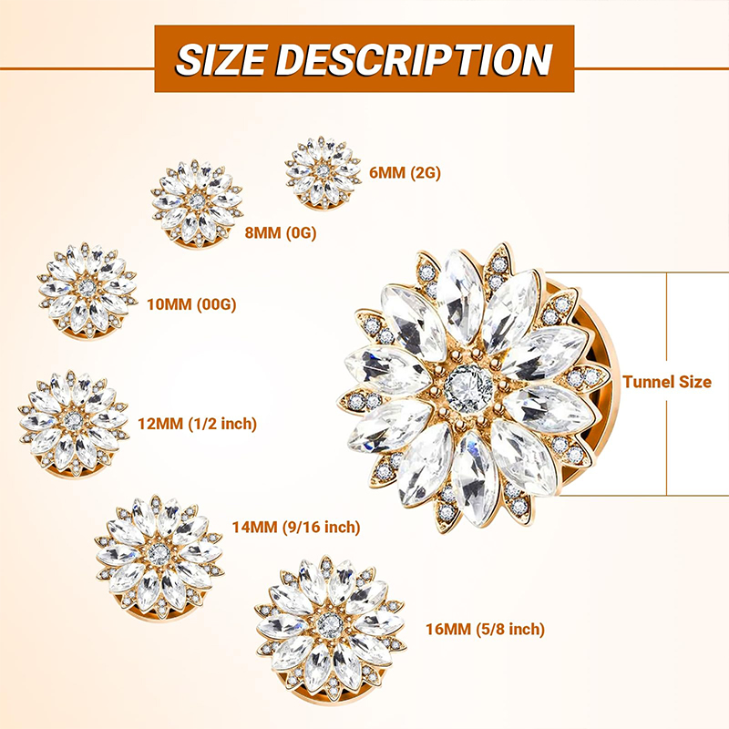Ohrstecker und -tunnel mit Zir – Body Jewelry Tunnels Bewertung und Preis