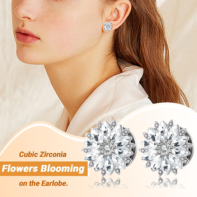 Ohrstecker und -tunnel mit Zir – Body Jewelry Tunnels Bewertung und Preis